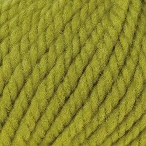 Big Wool /Биг Вул/ пряжа Rowan, Z058000 (069, reseda резеда, зеленый)