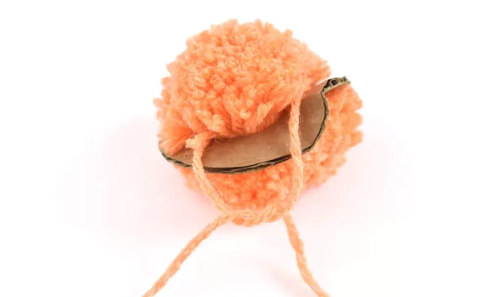 Pompoms7-5af1fd888e1b6e003908c84e.png