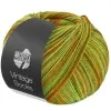 Пряжа 'VINTAGE SOCKS MULTI' (1054)