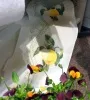 товар Основа для вышивания 11-ти ниточная: лента с рисунком, ширина 24см, Vaupel, (900225, белый с красным Германия 