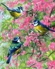 Канва-страмин Royal Paris с рисунком "Les Mesanges Bleues et les...", MEZ Венгрия, 9880132-00167 (Канва-страмин Royal Paris с рисунком "Les Mesanges Bleues et les...", MEZ Венгрия, 9880132-00167)