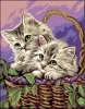 Канва-страмин Royal Paris с рисунком "Entre Chats" 47,5*37см, MEZ Венгрия, 9880142-00420 (Канва-страмин Royal Paris с рисунком "Entre Chats" 47,5*37см, MEZ Венгрия, 9880142-00420)