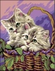 товар Канва-страмин Royal Paris с рисунком "Entre Chats" 47,5*37см, MEZ Венгрия, 9880142-00420 Венгрия 