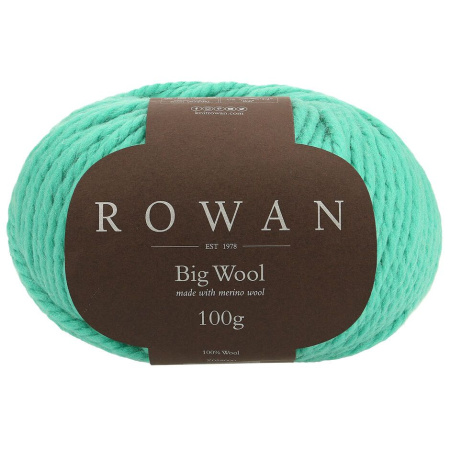 Big Wool /Биг Вул/ пряжа Rowan, MEZ, Z058000 (093)